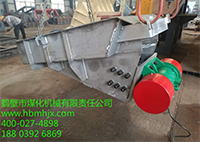 這款振動(dòng)給料機(jī)電機(jī)雙保險(xiǎn)嗎？